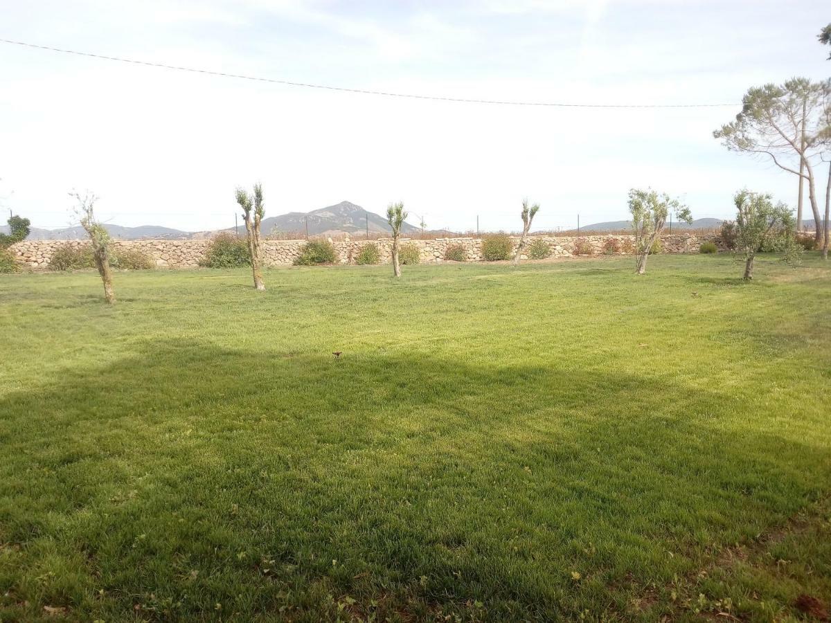 Apartament Casa Rosi Alghero Zewnętrze zdjęcie