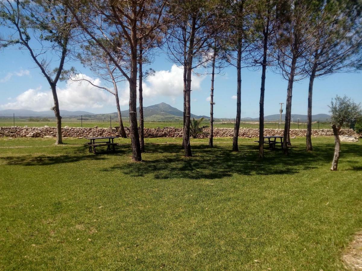 Apartament Casa Rosi Alghero Zewnętrze zdjęcie